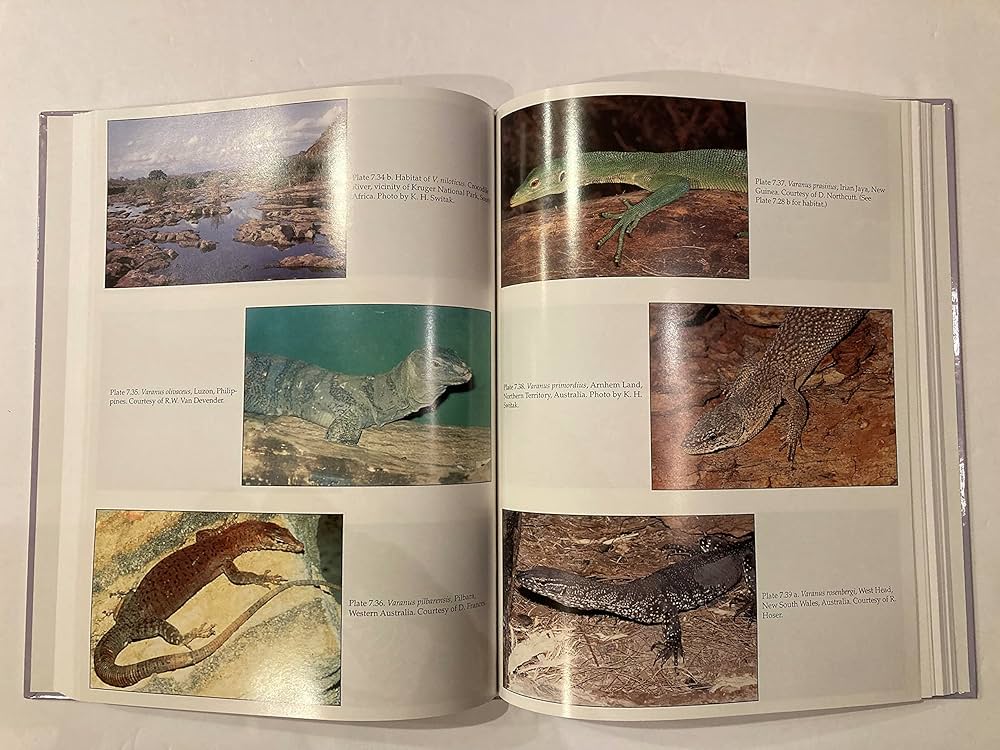 洋書　Monitor Lizards 自然史と飼育 洋書 Monitor Lizards 自然史と飼育